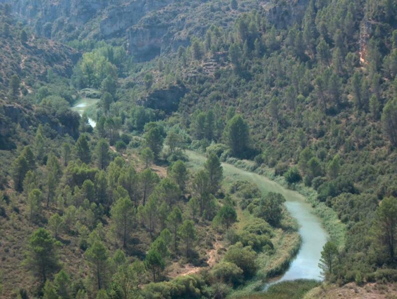Casa Rural Parajes Del Jucar Касас-де-Бенитес Экстерьер фото