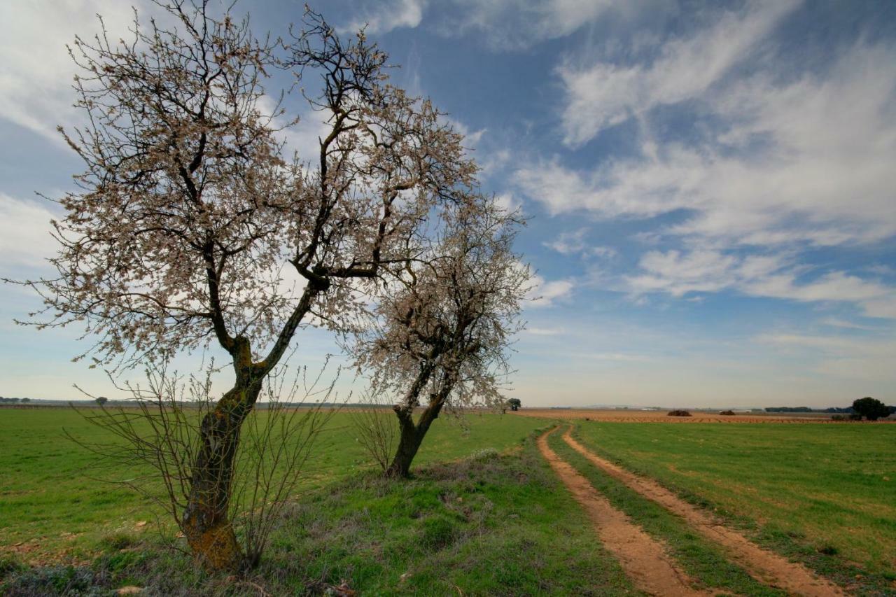 Casa Rural Parajes Del Jucar Касас-де-Бенитес Экстерьер фото